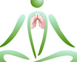 db66f024a09018edd0366a75971b8ed8 300 300