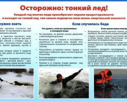 image 20 12 22 11 50