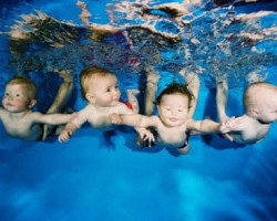 max g480 c12 r4x3 pd10