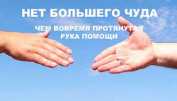 Без названия