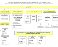 Структура КЦСОН 10.12.2025