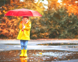 картинка к статье