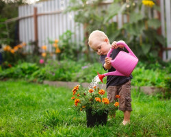 картинка к статье Вялькина